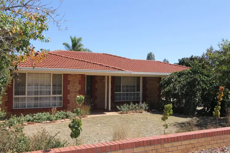 24 Boucaut Road