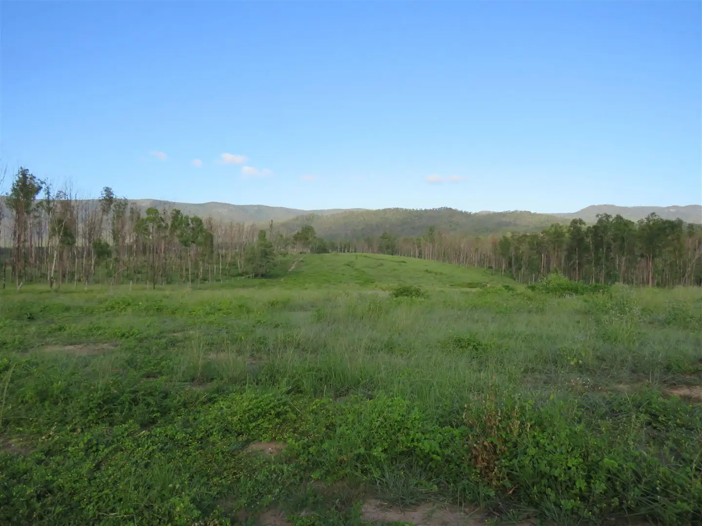 Main view of Homely rural property listing, 1 Mcauliffes Road, Miriam Vale QLD 4677