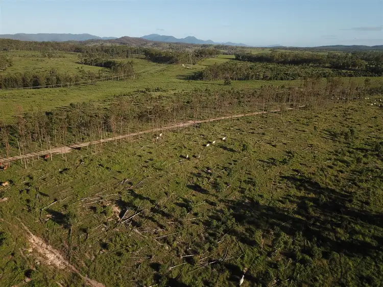 Fourth view of Homely rural property listing, 1 Mcauliffes Road, Miriam Vale QLD 4677