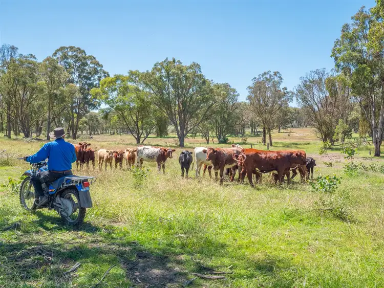 Third view of Homely rural property listing, 165 Essington Road Briarbrook, Guyra NSW 2365