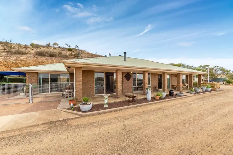 Main view of Homely rural property listing, 419 Purnong Road, Mannum SA 5238