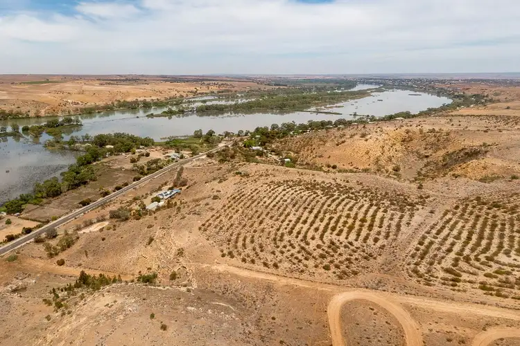 Second view of Homely rural property listing, 419 Purnong Road, Mannum SA 5238