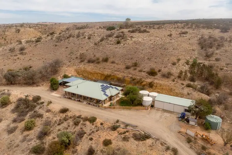 Third view of Homely rural property listing, 419 Purnong Road, Mannum SA 5238
