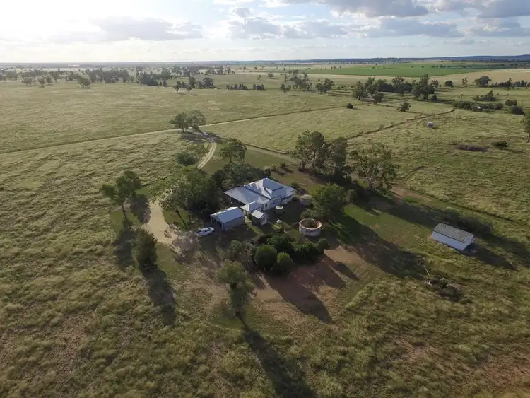 Third view of Homely rural property listing, 22 McCutcheon Lane, Narrabri NSW 2390