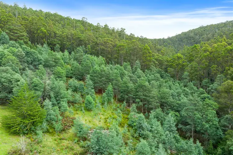 Second view of Homely land listing, Lot 3 Maxfields Road, Franklin TAS 7113