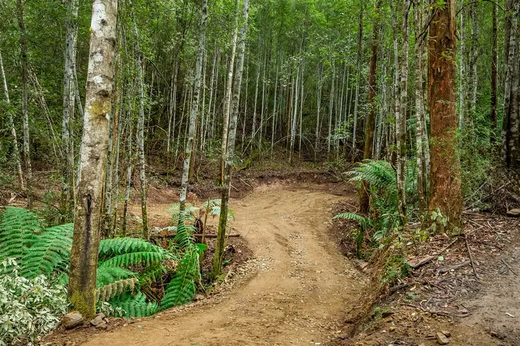 Seventh view of Homely land listing, Lot 3 Maxfields Road, Franklin TAS 7113