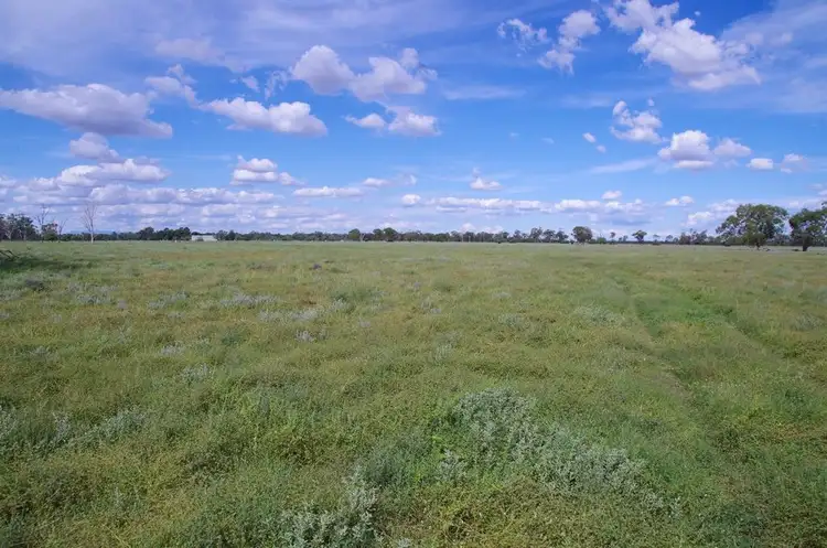 Sixth view of Homely rural property listing, 93 Old Pilliga Road, Wee Waa NSW 2388