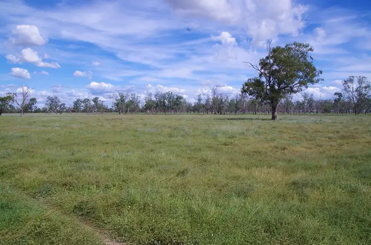 Seventh view of Homely rural property listing, 93 Old Pilliga Road, Wee Waa NSW 2388