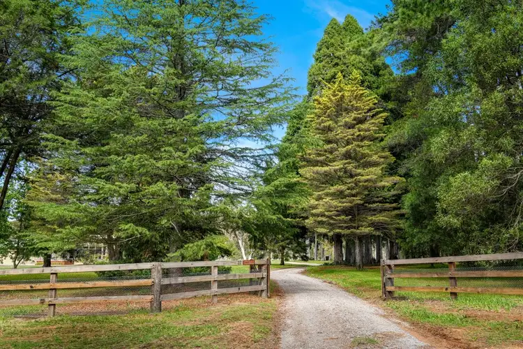 Second view of Homely rural property listing, 22 Newbury Drive, Penrose NSW 2579