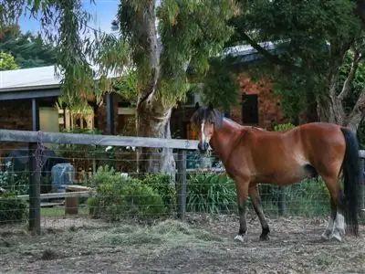 Third view of Homely rural property listing, 26 McLaurin Drive, Tyabb VIC