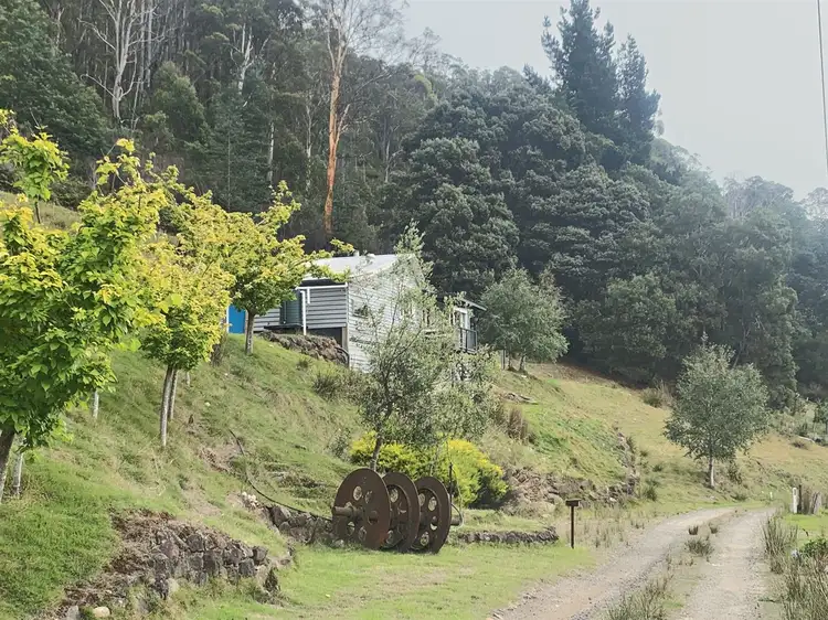 Main view of Homely house listing, 10 Lower Cascade Road, Derby TAS 7264