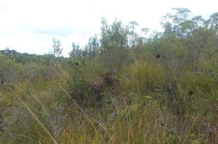 Fifth view of Homely land listing, 1 Baker Street, Rosebery TAS 7470
