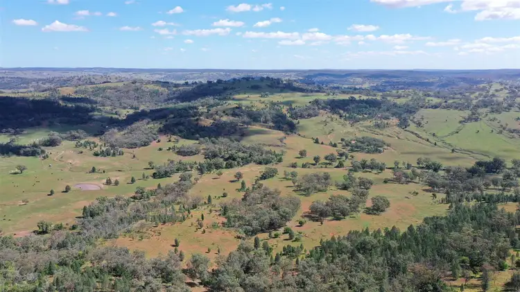 2529 Mt Nombi / Wyuna Road, 'Moolagundi', Mullaley NSW 2379