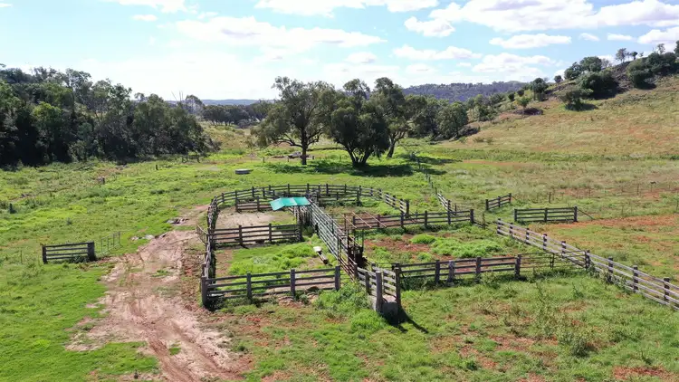 Fourth view of Homely rural property listing, 2529 Mt Nombi / Wyuna Road, 'Moolagundi', Mullaley NSW 2379