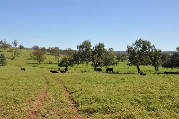 Fifth view of Homely rural property listing, 2529 Mt Nombi / Wyuna Road, 'Moolagundi', Mullaley NSW 2379