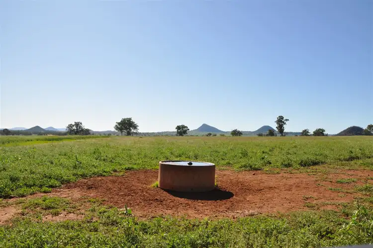 Seventh view of Homely rural property listing, 2529 Mt Nombi / Wyuna Road, 'Moolagundi', Mullaley NSW 2379
