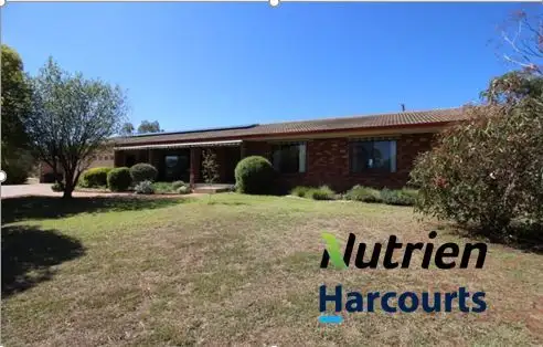 168 Pinkerton Road, Cootamundra NSW 2590