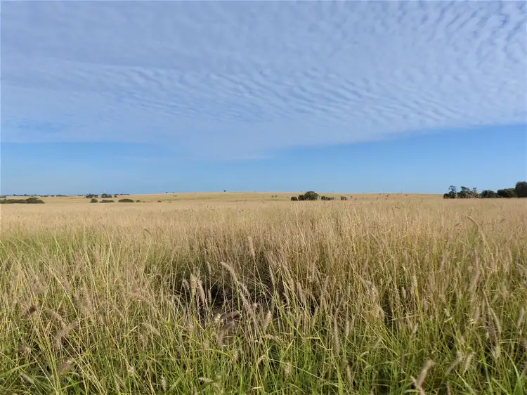 . "Hurdle Estate", Roma QLD 4455