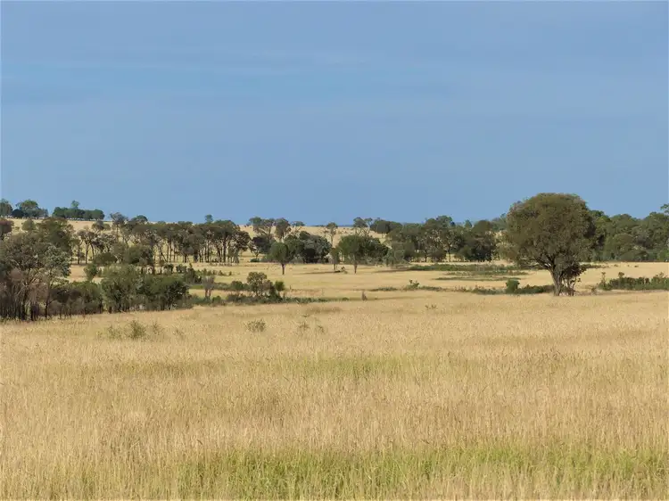 Sixth view of Homely rural property listing, . "Hurdle Estate", Roma QLD 4455