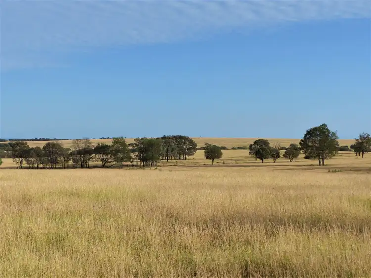 Seventh view of Homely rural property listing, . "Hurdle Estate", Roma QLD 4455