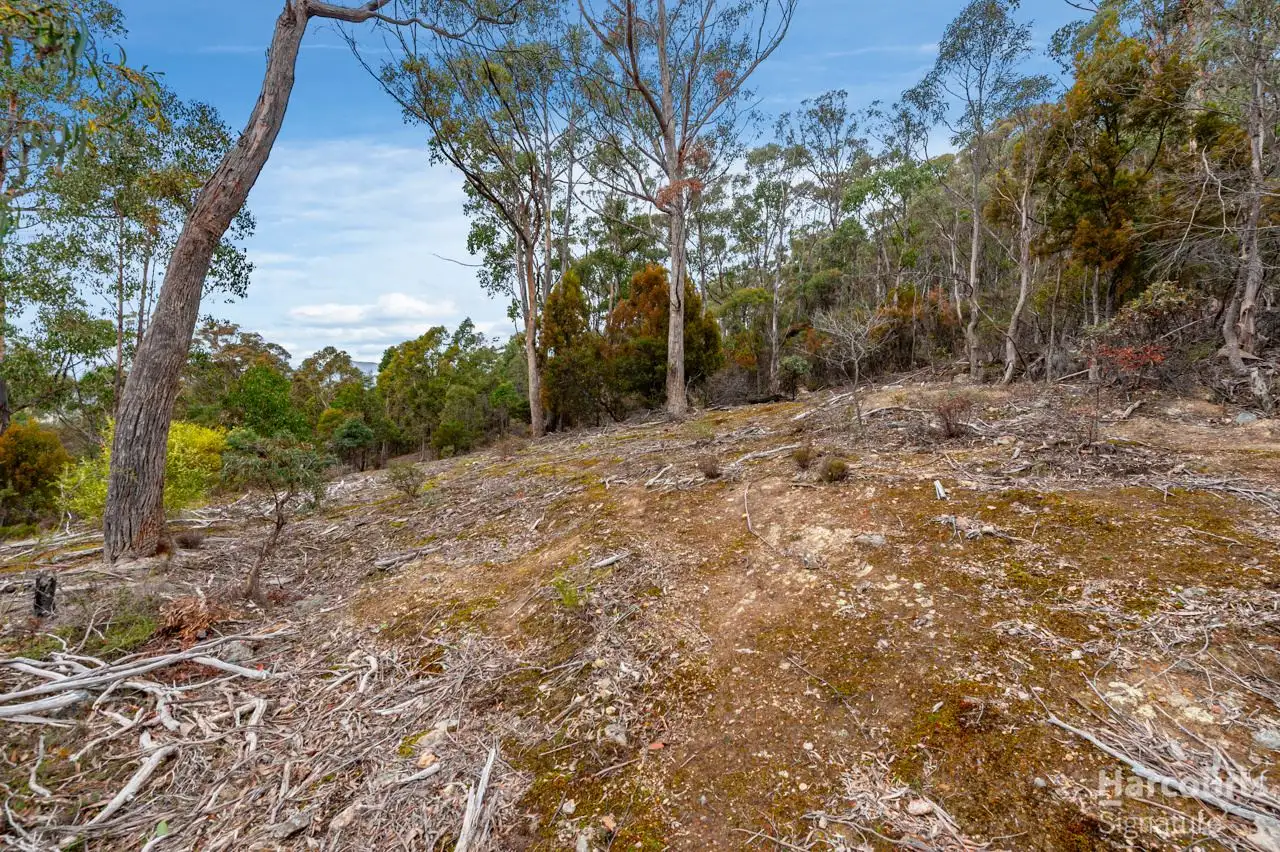 Main view of Homely land listing, 214 Top Swamp Road, Lachlan TAS 7140
