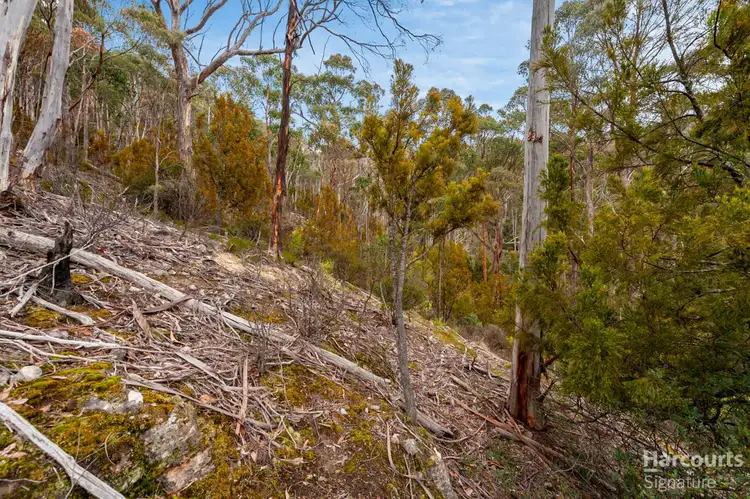 Third view of Homely land listing, 214 Top Swamp Road, Lachlan TAS 7140