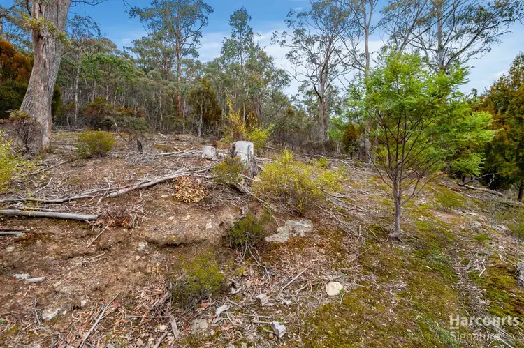 Fourth view of Homely land listing, 214 Top Swamp Road, Lachlan TAS 7140