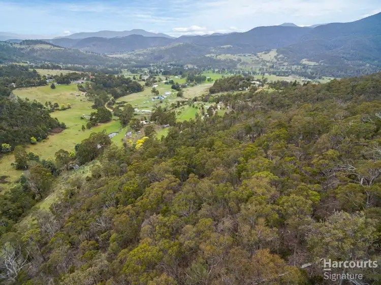 Fifth view of Homely land listing, 214 Top Swamp Road, Lachlan TAS 7140