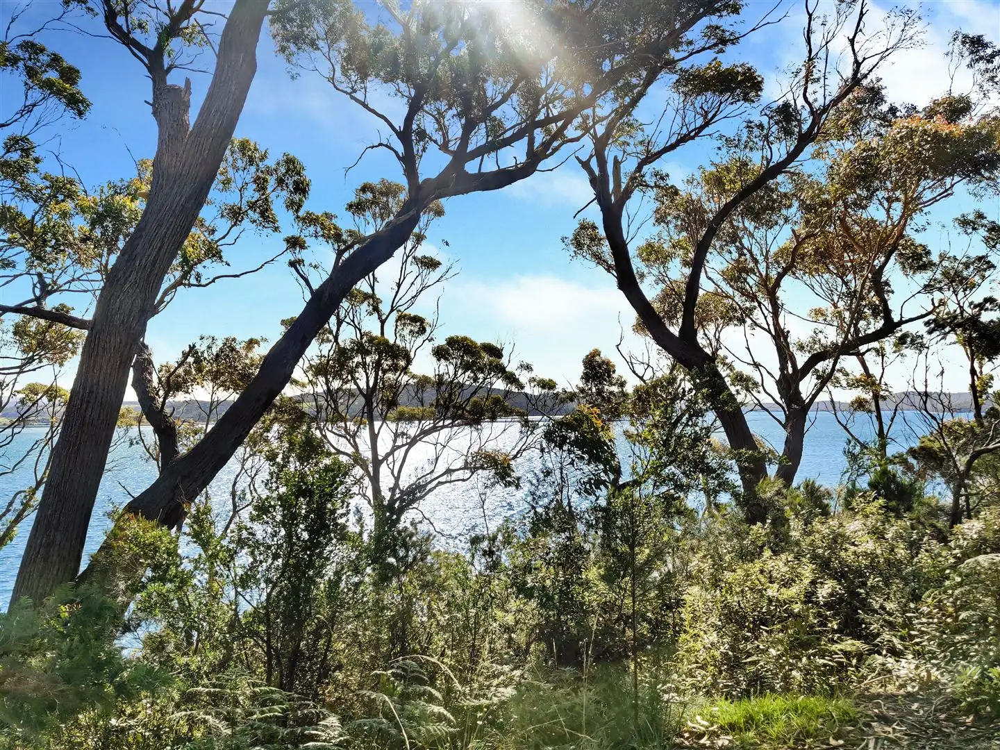 Main view of Homely house listing, 103 St Helens Point Road, Stieglitz TAS 7216