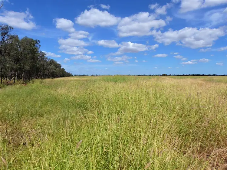 Fifth view of Homely rural property listing, . "Dunkery", Condamine QLD 4416