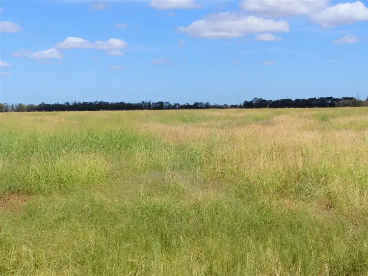 Sixth view of Homely rural property listing, . "Dunkery", Condamine QLD 4416