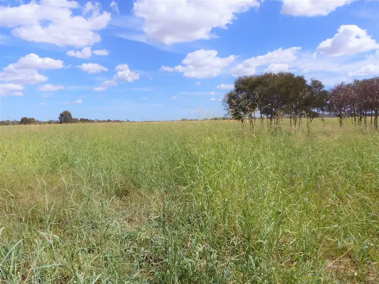 Seventh view of Homely rural property listing, . "Dunkery", Condamine QLD 4416