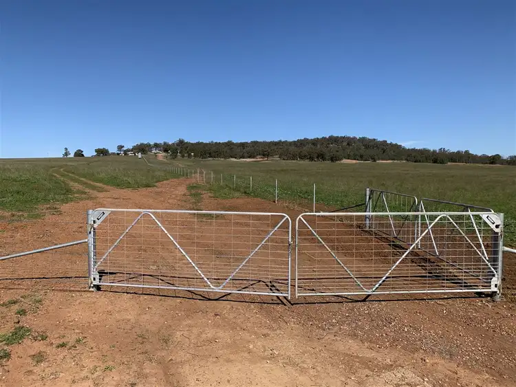 Fifth view of Homely rural property listing, The Ranch 150 Walker Road, Mendooran NSW 2842