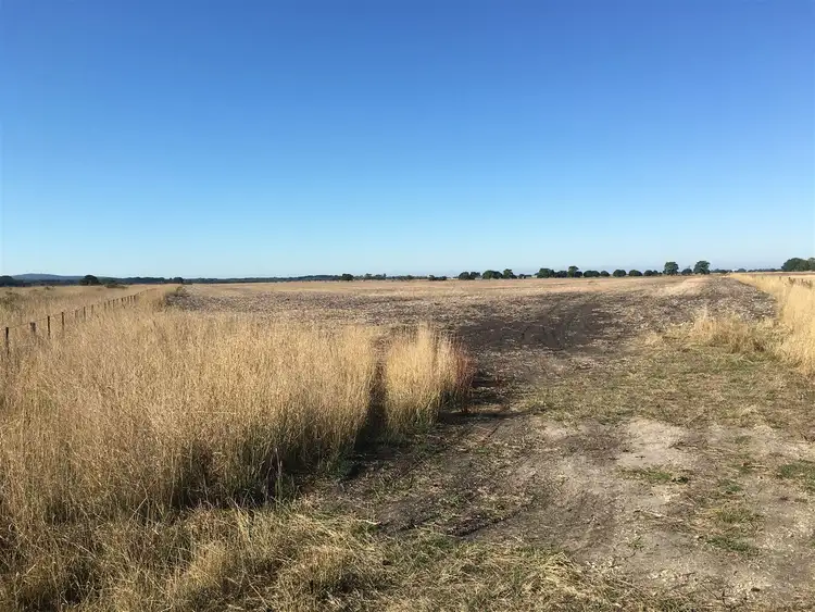 Third view of Homely rural property listing, Lot 349 Powers Road, Millicent SA 5280