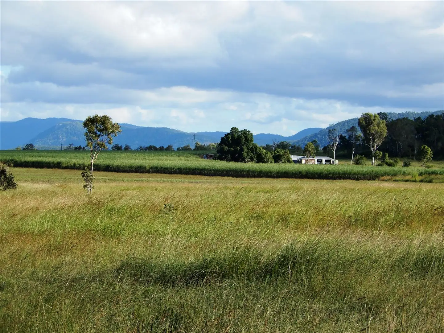Main view of Homely rural property listing, Address available on request