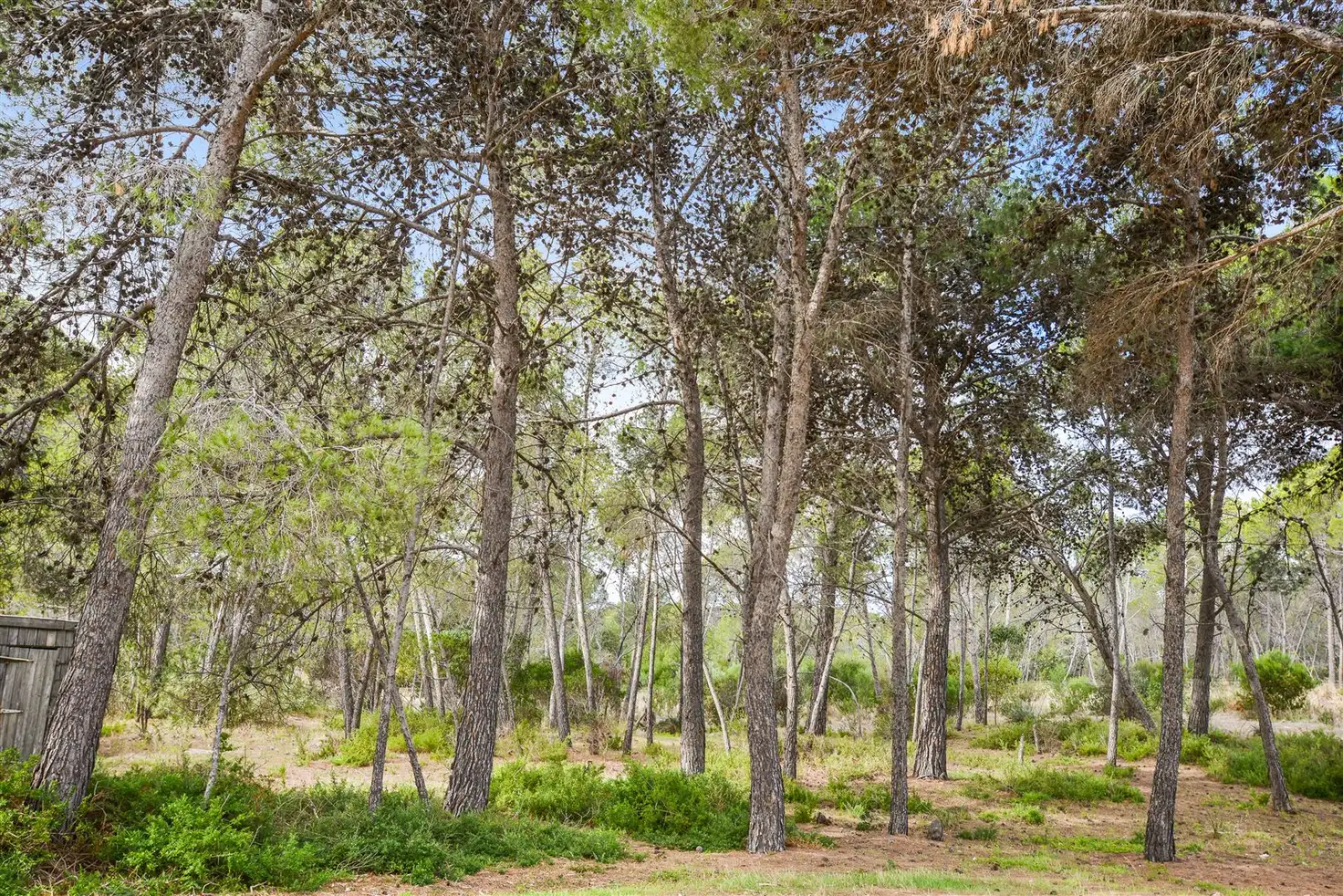 Main view of Homely house listing, 279 Randell Road, Hindmarsh Island SA 5214