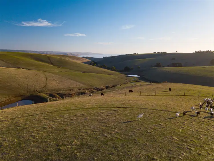 Third view of Homely rural property listing, Lot 2 Forktree Rd, Carrickalinga SA 5204