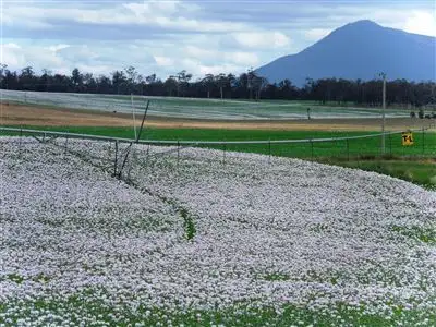 Fifth view of Homely rural property listing, 1926 Cressy Road, Cressy TAS 7302