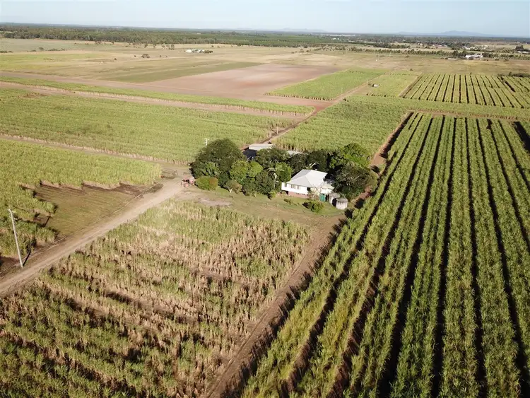 Second view of Homely rural property listing, 182 Fairydale Road, Moore Park Beach QLD 4670