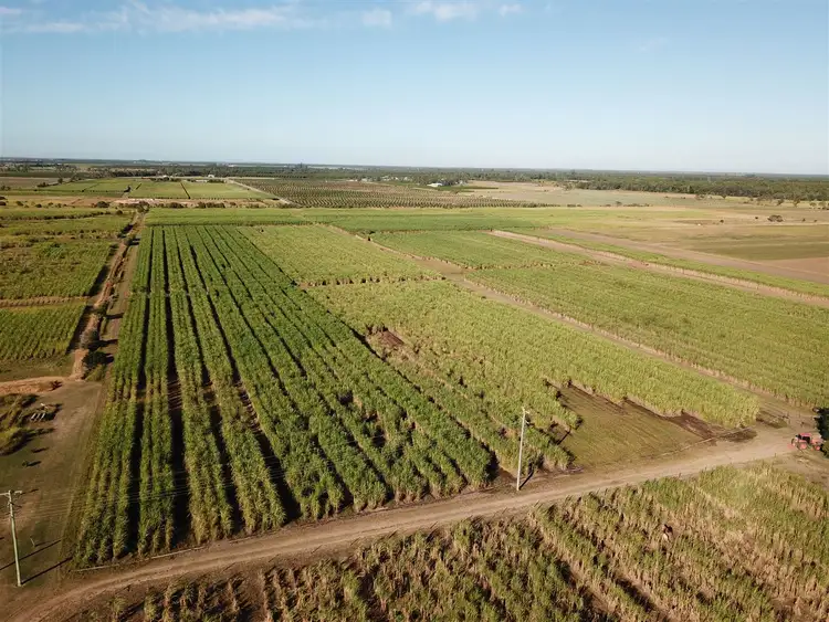 Fourth view of Homely rural property listing, 182 Fairydale Road, Moore Park Beach QLD 4670