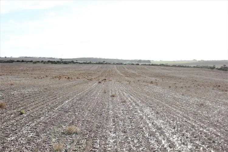 A177 Yorke Highway, Rogues Point SA 5571