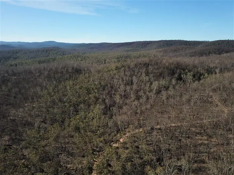 Third view of Homely rural property listing, 1060 Creewah Road, Creewah NSW 2631