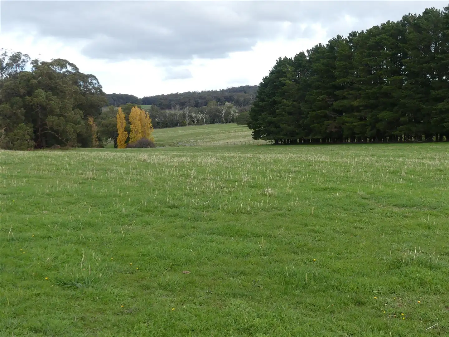 Main view of Homely rural property listing, 1591 Euroa Strathbogie Road, Kelvin View VIC 3666