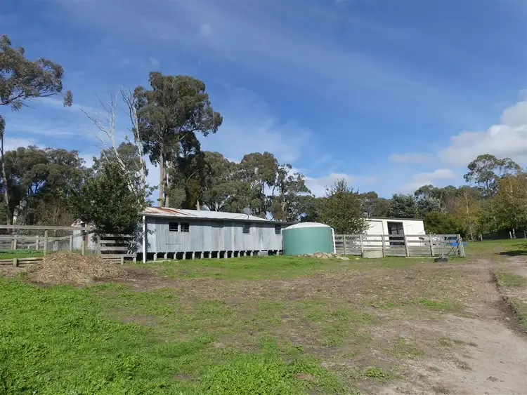 Second view of Homely rural property listing, 1591 Euroa Strathbogie Road, Kelvin View VIC 3666