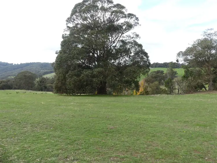 Sixth view of Homely rural property listing, 1591 Euroa Strathbogie Road, Kelvin View VIC 3666