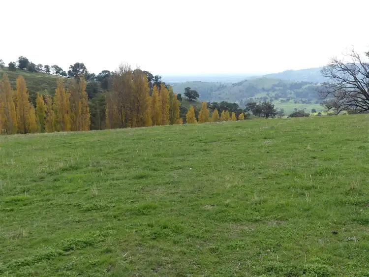 Seventh view of Homely rural property listing, 1591 Euroa Strathbogie Road, Kelvin View VIC 3666