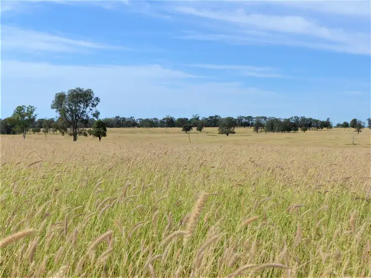 . "Telco", Roma QLD 4455