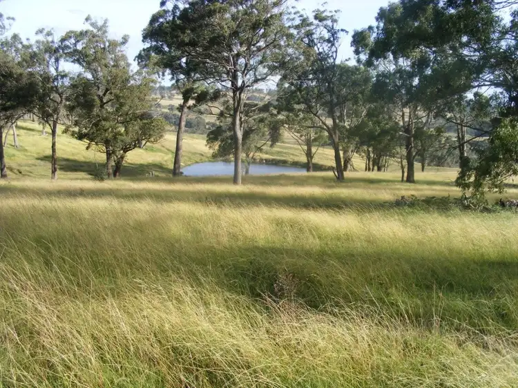 Main view of Homely rural property listing, 'Kingsgate/1319 Tablelands Road, Red Range NSW 2370
