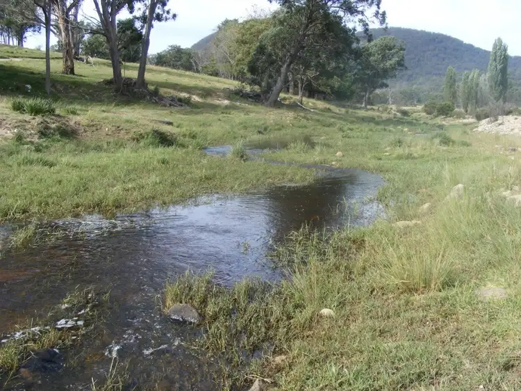 Third view of Homely rural property listing, 'Kingsgate/1319 Tablelands Road, Red Range NSW 2370