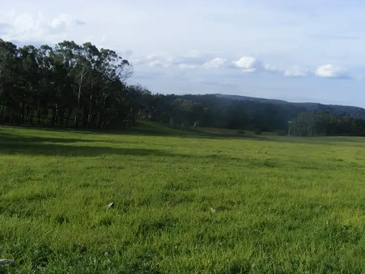Fourth view of Homely rural property listing, 'Kingsgate/1319 Tablelands Road, Red Range NSW 2370